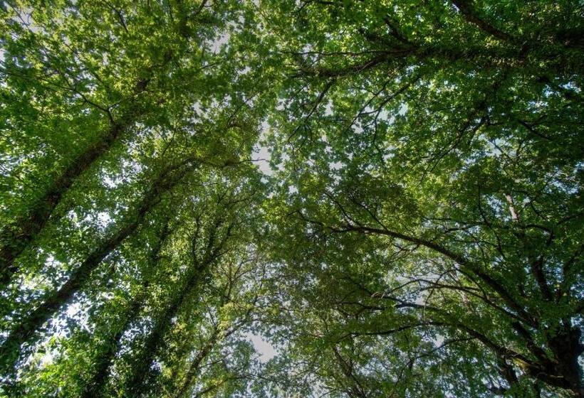 فندق Quinta De Silharezes, Lda