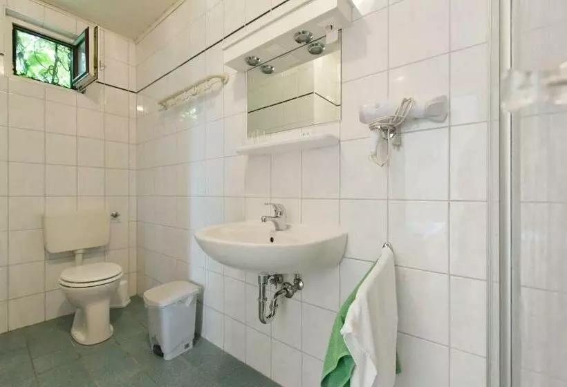 ペンション Blumenhof Wegleitner