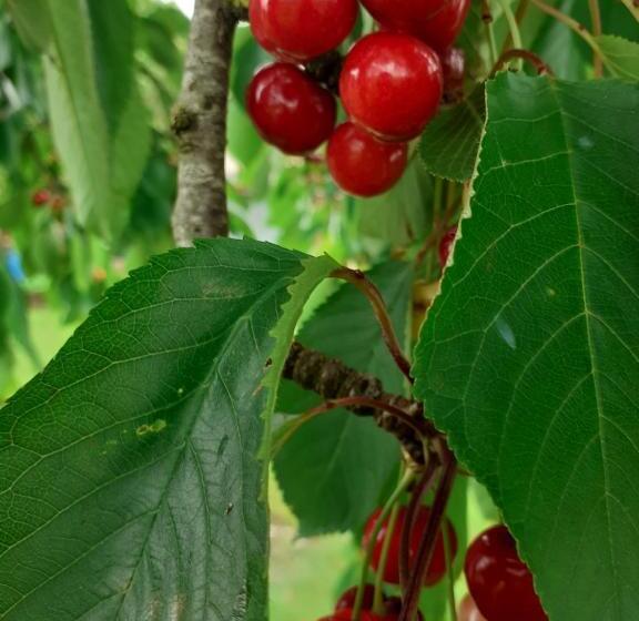 Pensionat Les Flots De Ma Vie Chambres D Hotes Et Tipi Florence Et Virginie Gossin