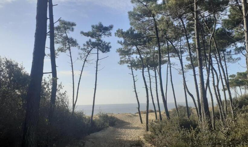 Pensionat Les Flots De Ma Vie Chambres D Hotes Et Tipi Florence Et Virginie Gossin