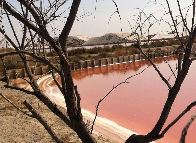 ペンション Les Pondres En Vaunage