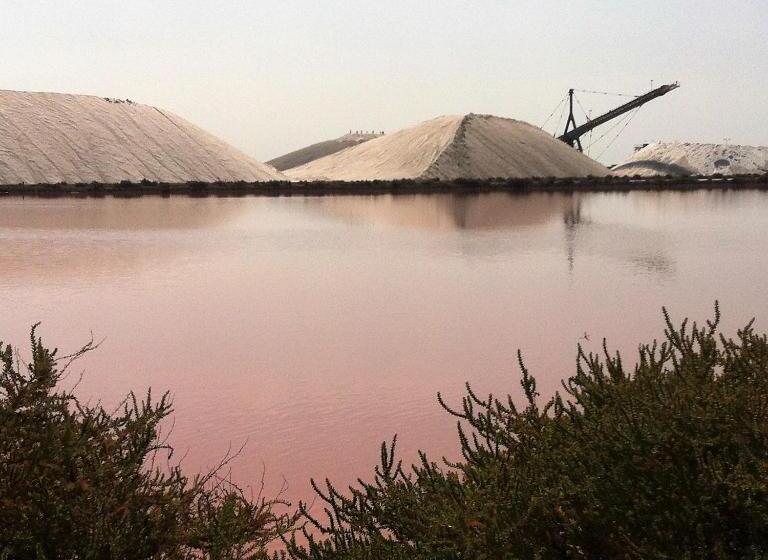 ペンション Les Pondres En Vaunage