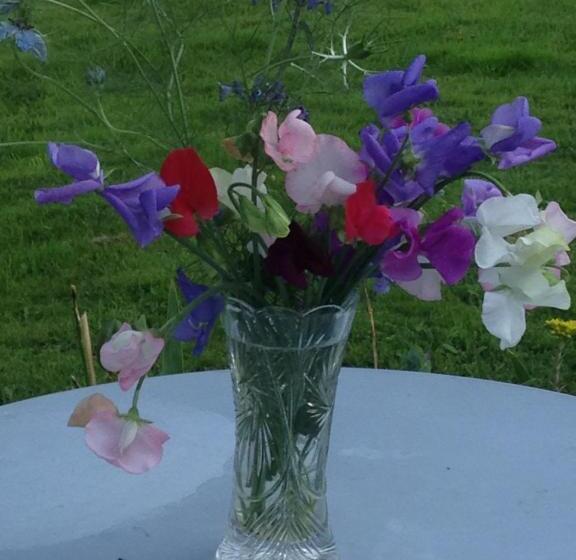 مبيت وإفطار Chambres D Hotes Des Forets