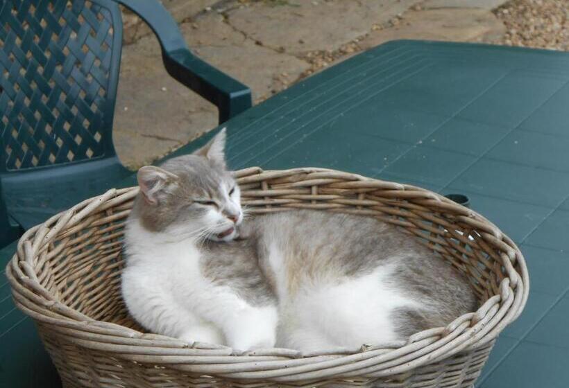 مبيت وإفطار Chambres D Hotes Des Forets