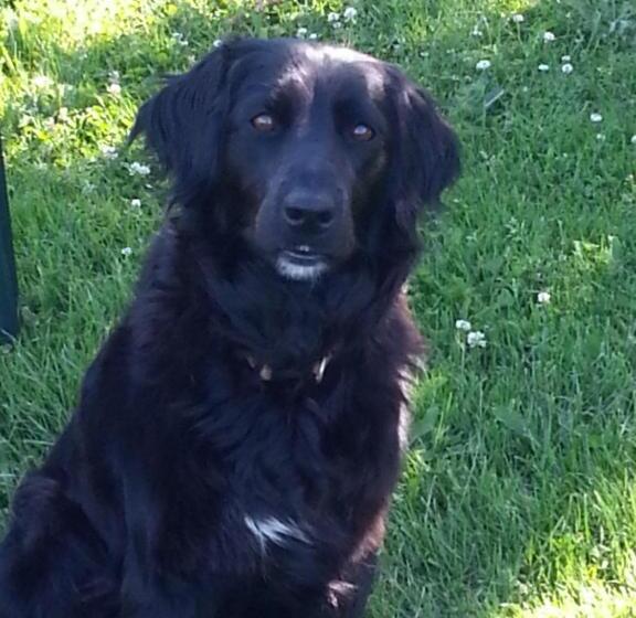 مبيت وإفطار Chambres D Hotes Des Forets