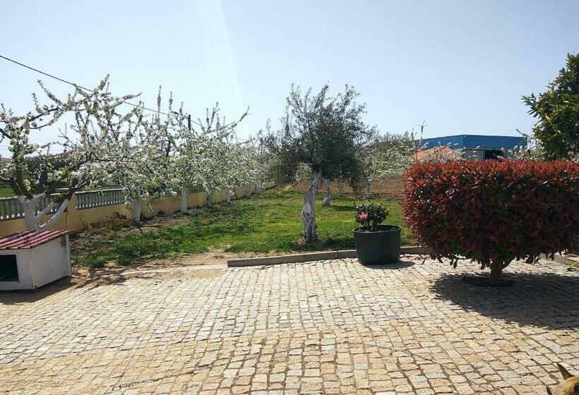 ベッドアンドブレックファースト Joaquim Do Norte