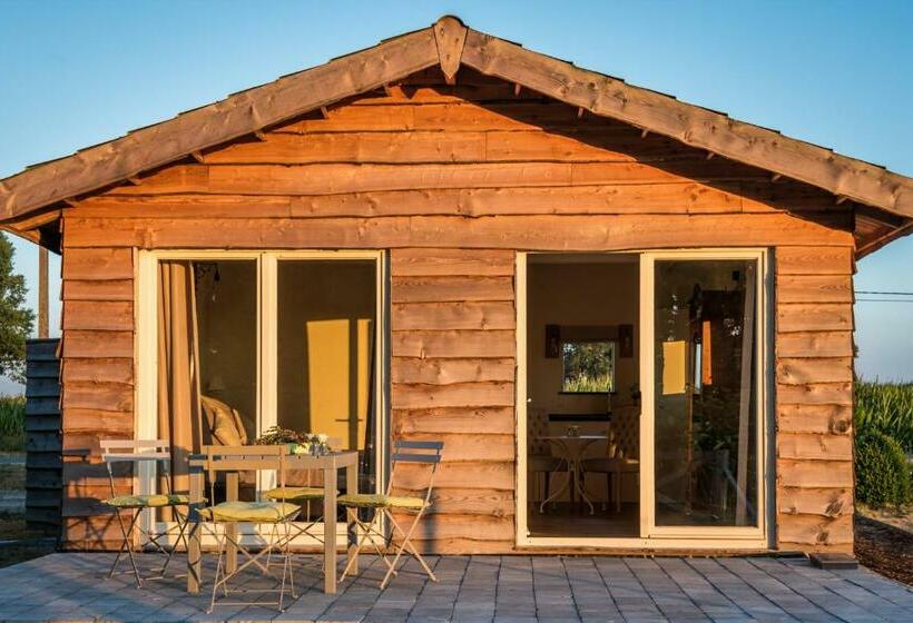 ベッドアンドブレックファースト La Vie En Rose   A Fully Equipped Pet Friendly Contactless House With Fenced Garden Between The Fiel