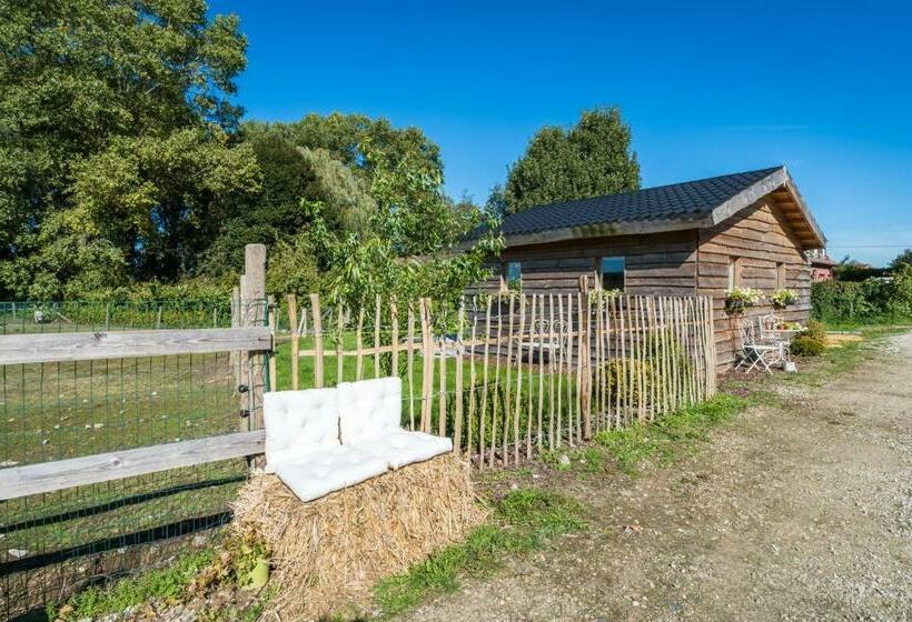 ベッドアンドブレックファースト La Vie En Rose   A Fully Equipped Pet Friendly Contactless House With Fenced Garden Between The Fiel