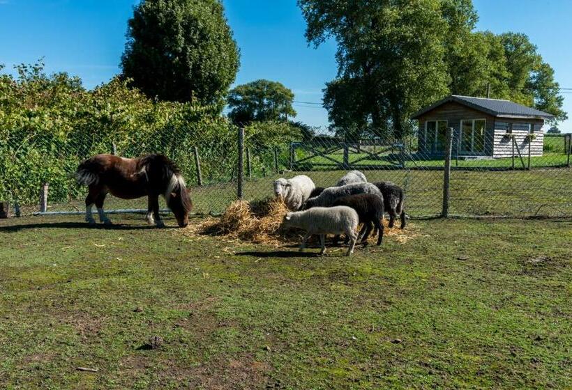 ベッドアンドブレックファースト La Vie En Rose   A Fully Equipped Pet Friendly Contactless House With Fenced Garden Between The Fiel