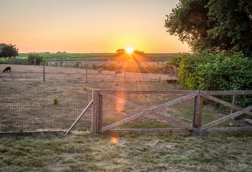 ベッドアンドブレックファースト La Vie En Rose   A Fully Equipped Pet Friendly Contactless House With Fenced Garden Between The Fiel