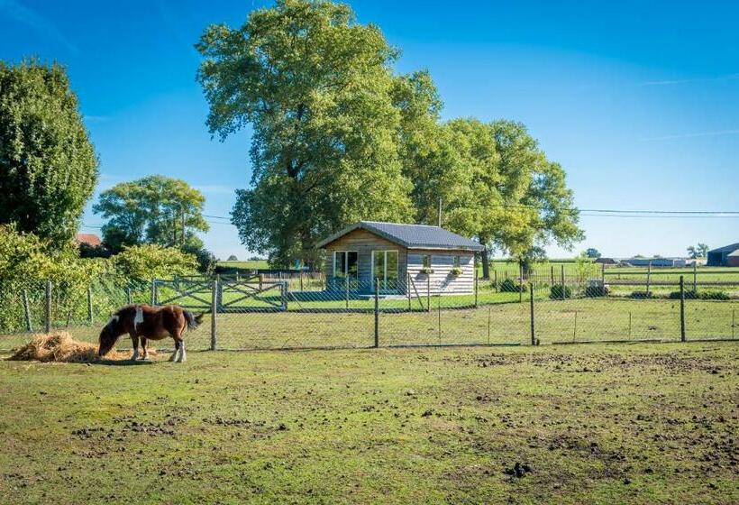 ベッドアンドブレックファースト La Vie En Rose   A Fully Equipped Pet Friendly Contactless House With Fenced Garden Between The Fiel