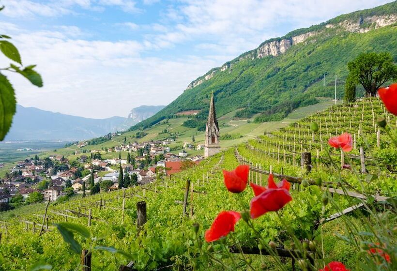 住宿加早餐 Rebenheim