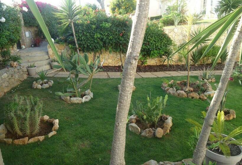 ベッドアンドブレックファースト Vivenda L Olivier