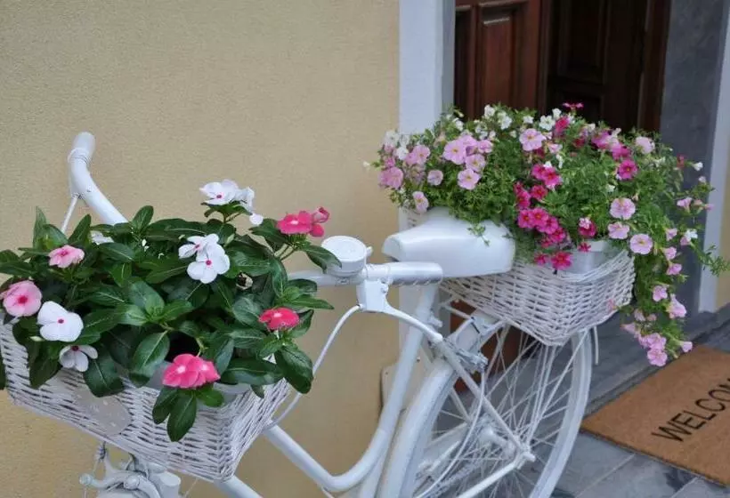 Amarti Suites B&b