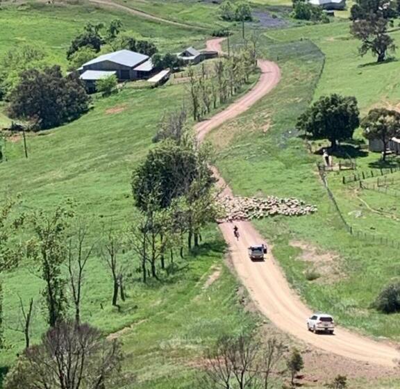 Amazing Views Pet Friendly Bed And Breakfast