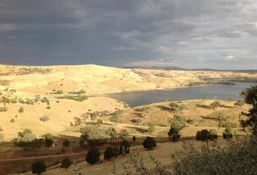 Amazing Views Pet Friendly Bed And Breakfast