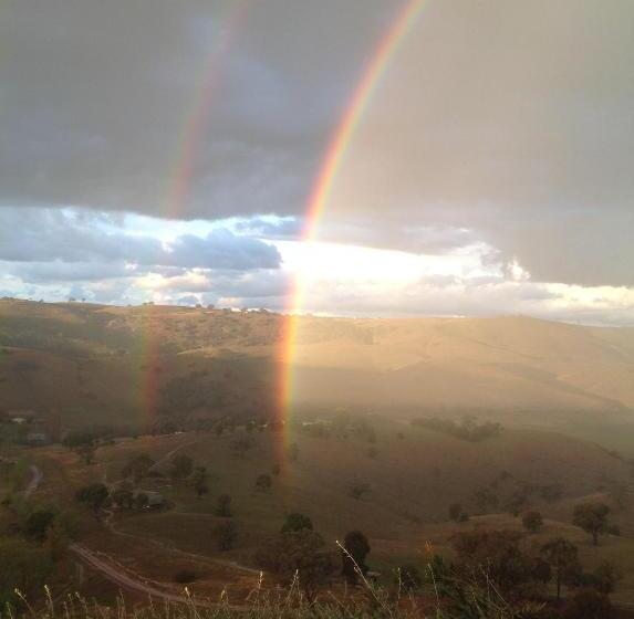 Amazing Views Pet Friendly Bed And Breakfast