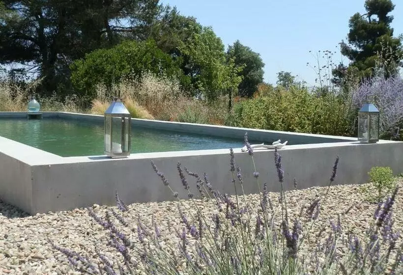 تختخواب و صبحانه Domaine De Manteau Bleu