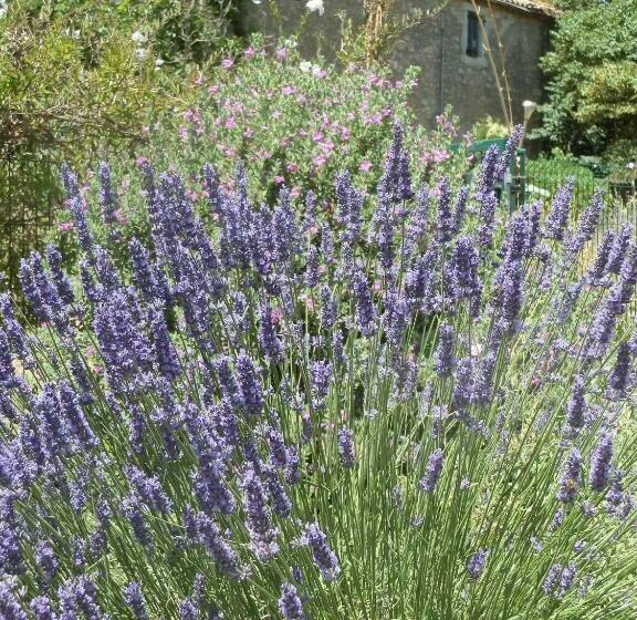 住宿加早餐  Domaine De Manteau Bleu