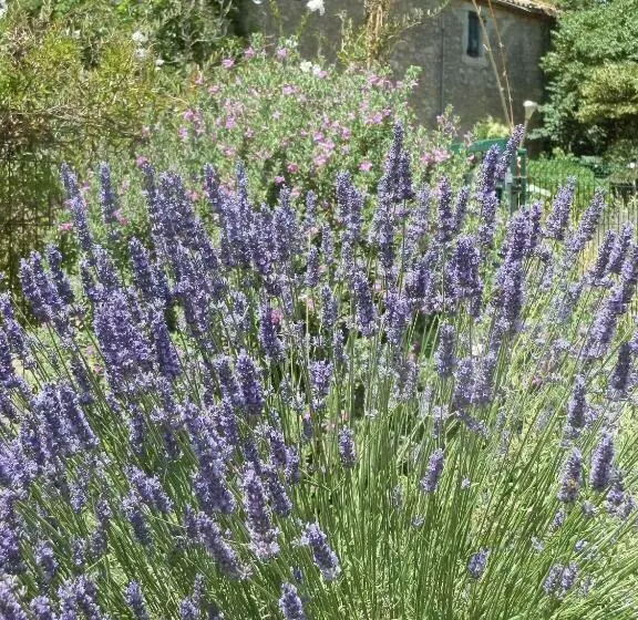 تختخواب و صبحانه Domaine De Manteau Bleu