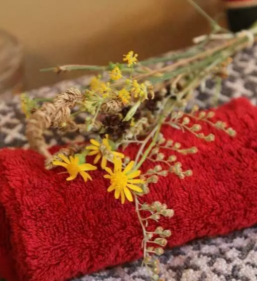 تختخواب و صبحانه Domaine De Manteau Bleu