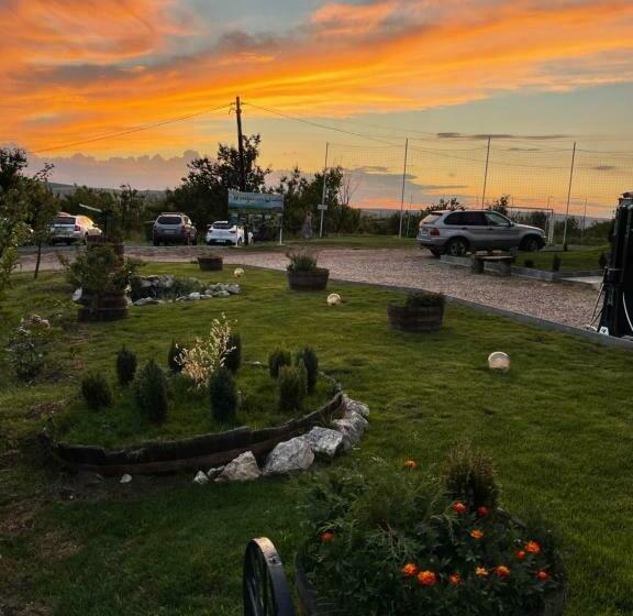 住宿加早餐  Wineyards Salin