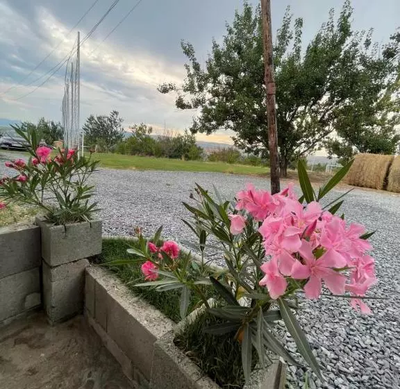 تختخواب و صبحانه Wineyards Salin