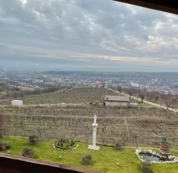 تختخواب و صبحانه Wineyards Salin
