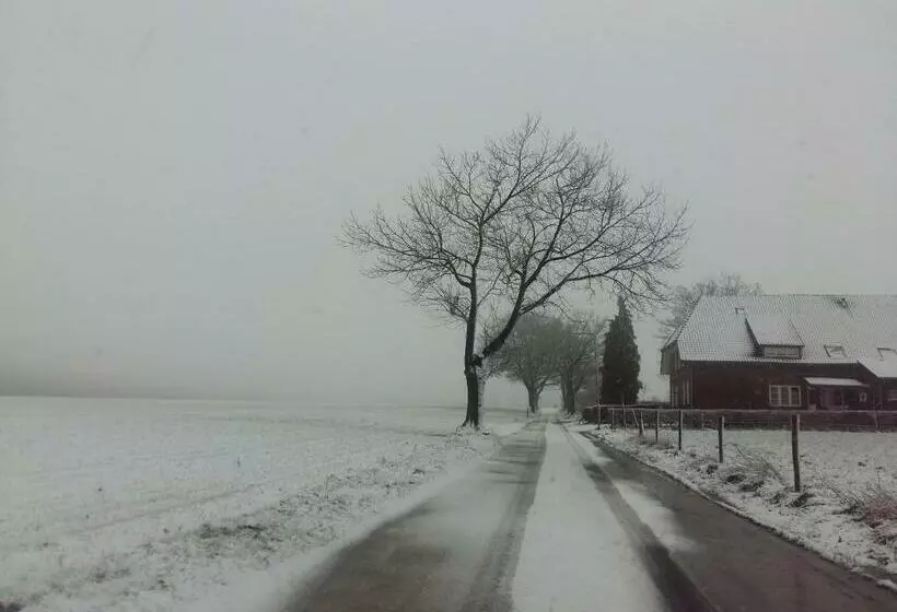 Majatalo Staying With The Artist