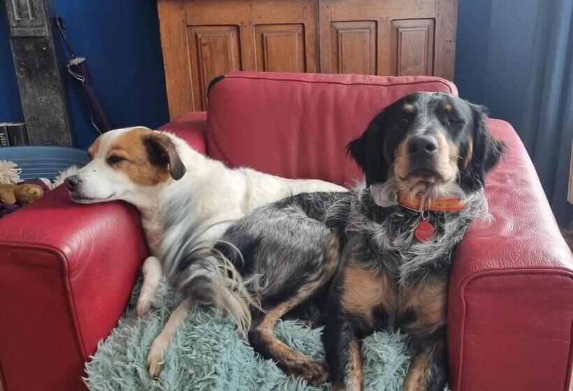 פנסיון Staying With The Artist