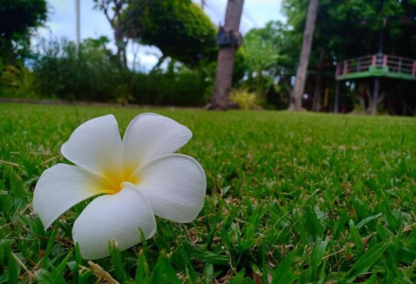 渡假胜地  Magmai Homestay & Tower