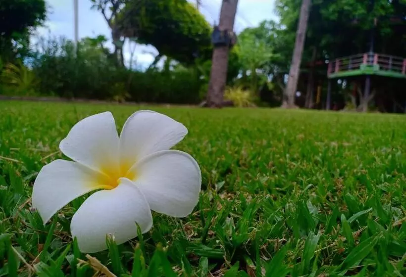 استراحتگاه Magmai Homestay & Tower