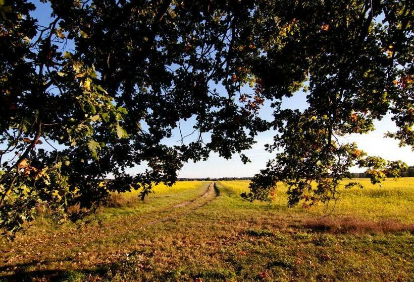 צימר Charlottes Pfarrgarten