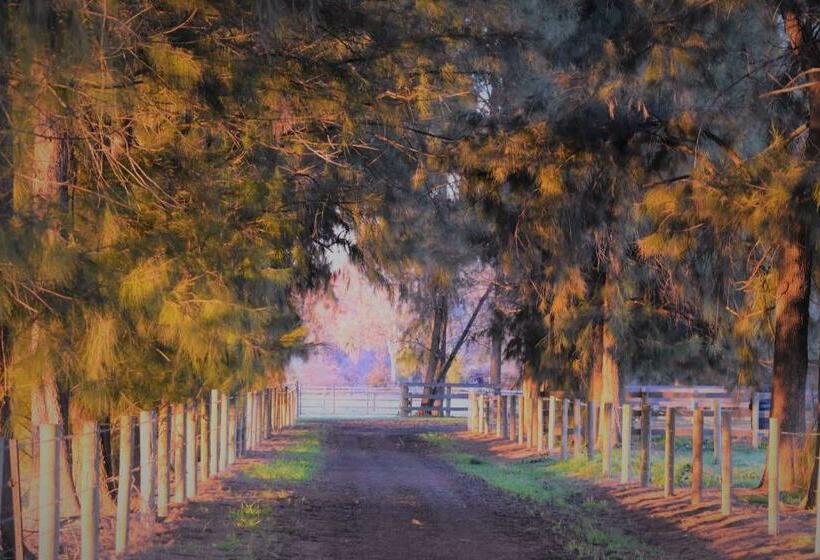 住宿加早餐  King River Cottage