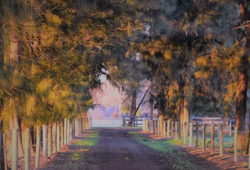 Aamiaismajoitus (B&B) King River Cottage