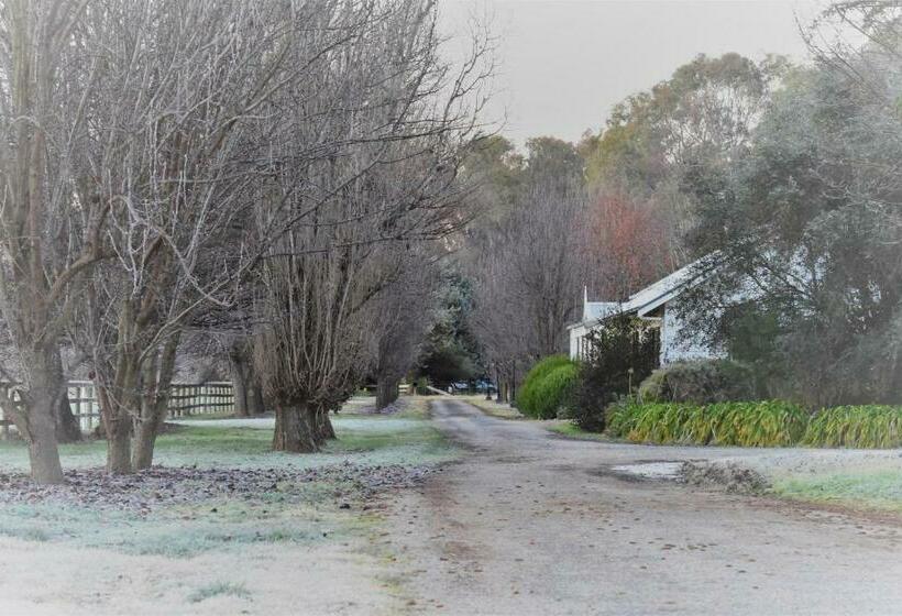 住宿加早餐  King River Cottage