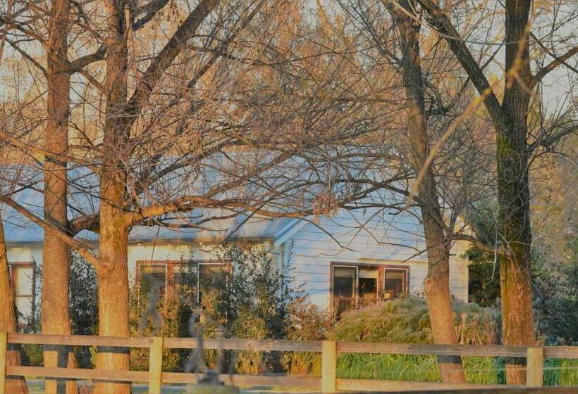 住宿加早餐  King River Cottage