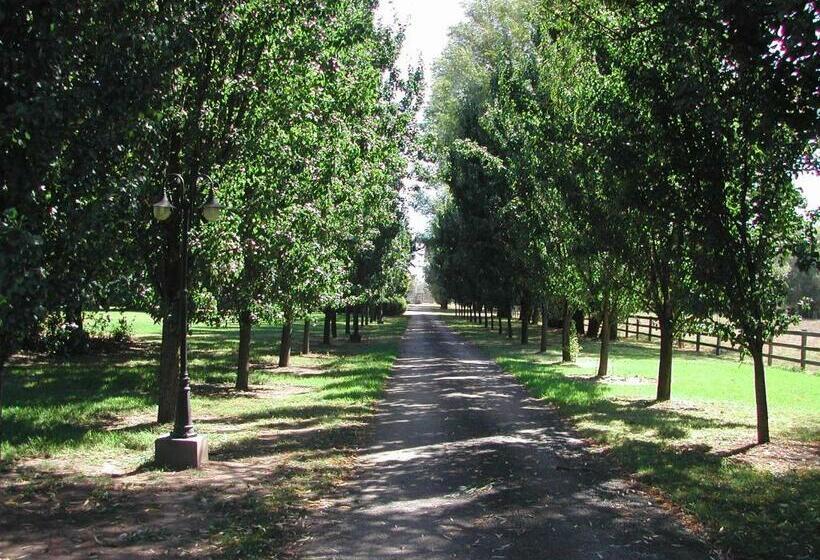 住宿加早餐  King River Cottage