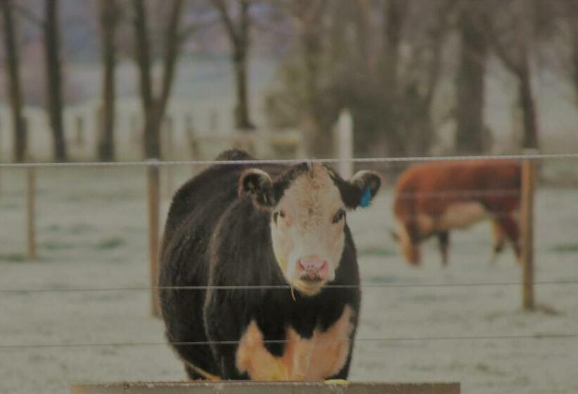 住宿加早餐  King River Cottage