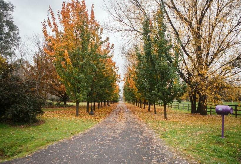 住宿加早餐  King River Cottage