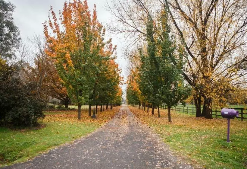 Aamiaismajoitus (B&B) King River Cottage