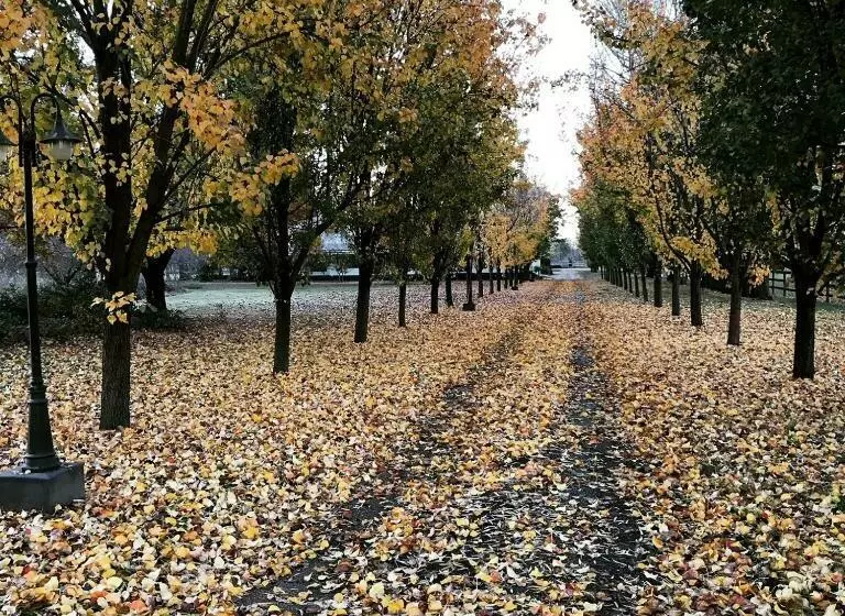 Aamiaismajoitus (B&B) King River Cottage