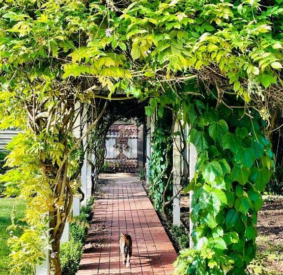 住宿加早餐  King River Cottage