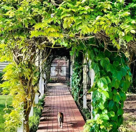 Aamiaismajoitus (B&B) King River Cottage