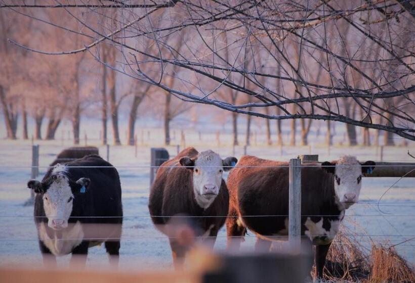 住宿加早餐  King River Cottage