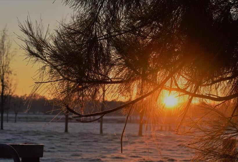 住宿加早餐  King River Cottage