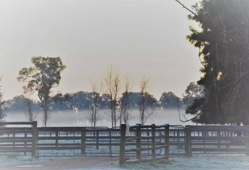 Aamiaismajoitus (B&B) King River Cottage