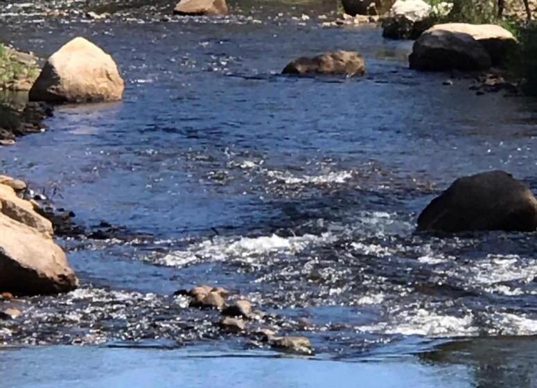 住宿加早餐  King River Cottage