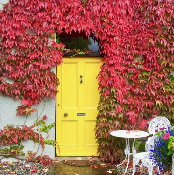 צימר Riverside House