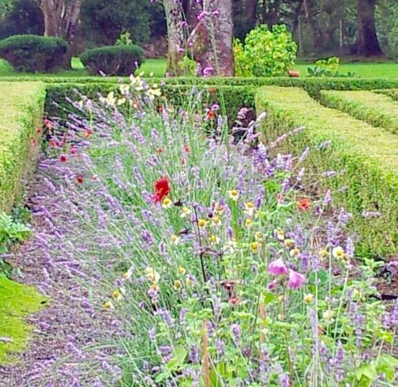 צימר Riverside House